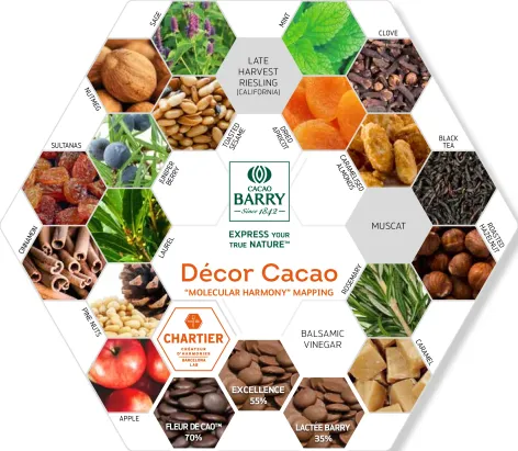 Cacao Barry Cocoa Powder Decor - 1kg